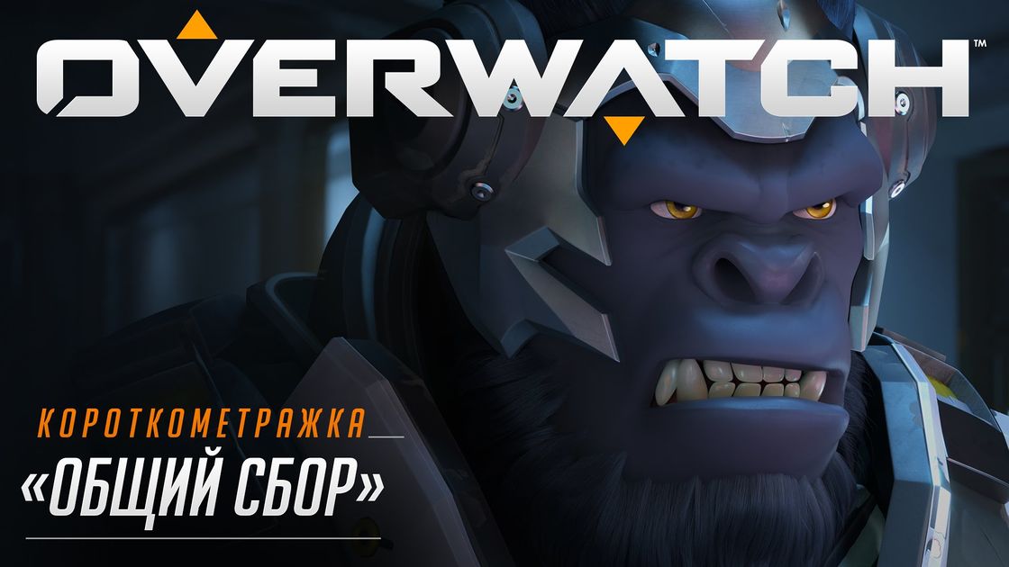 Общий сбор overwatch